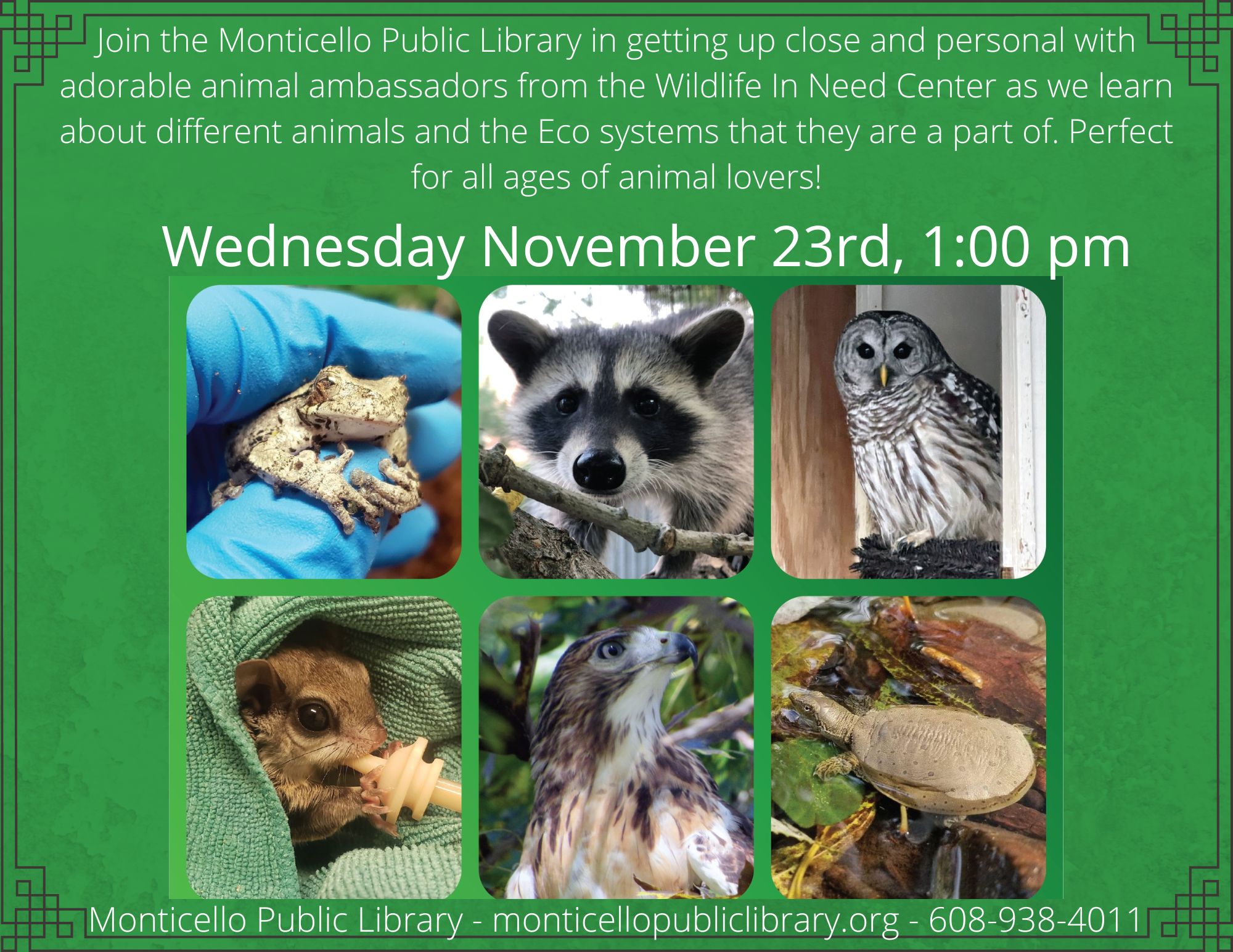 Wildlife in need Monticello Public Library